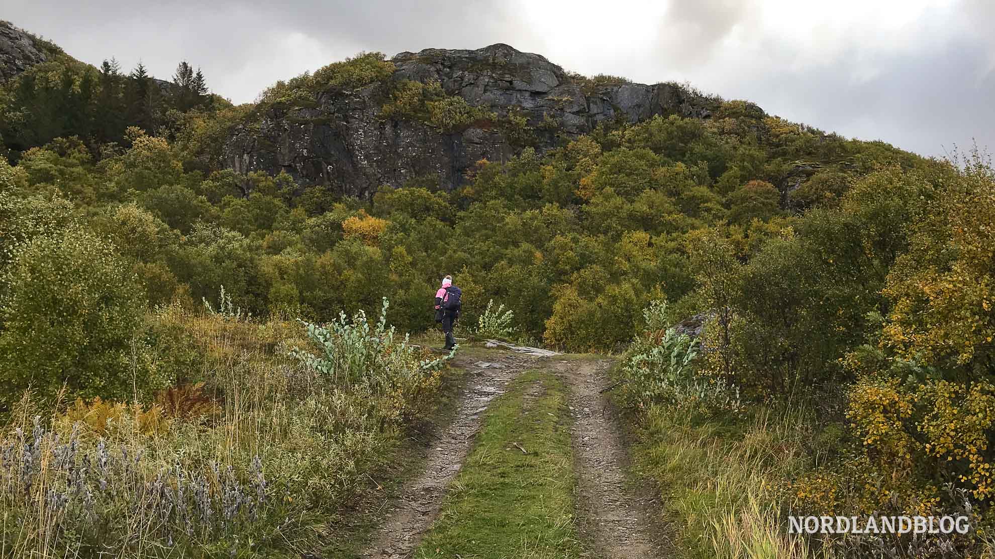 Traktorweg - Wanderung Holandsmelen, Lofoten, Nordnorwegen