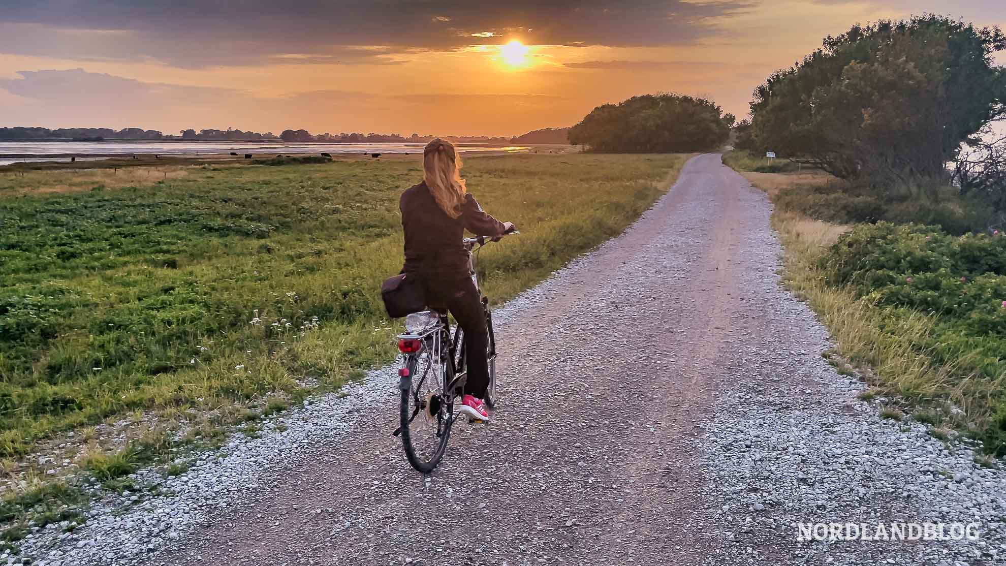 Fahrrad fahren Dänemark Ostsee Südsee