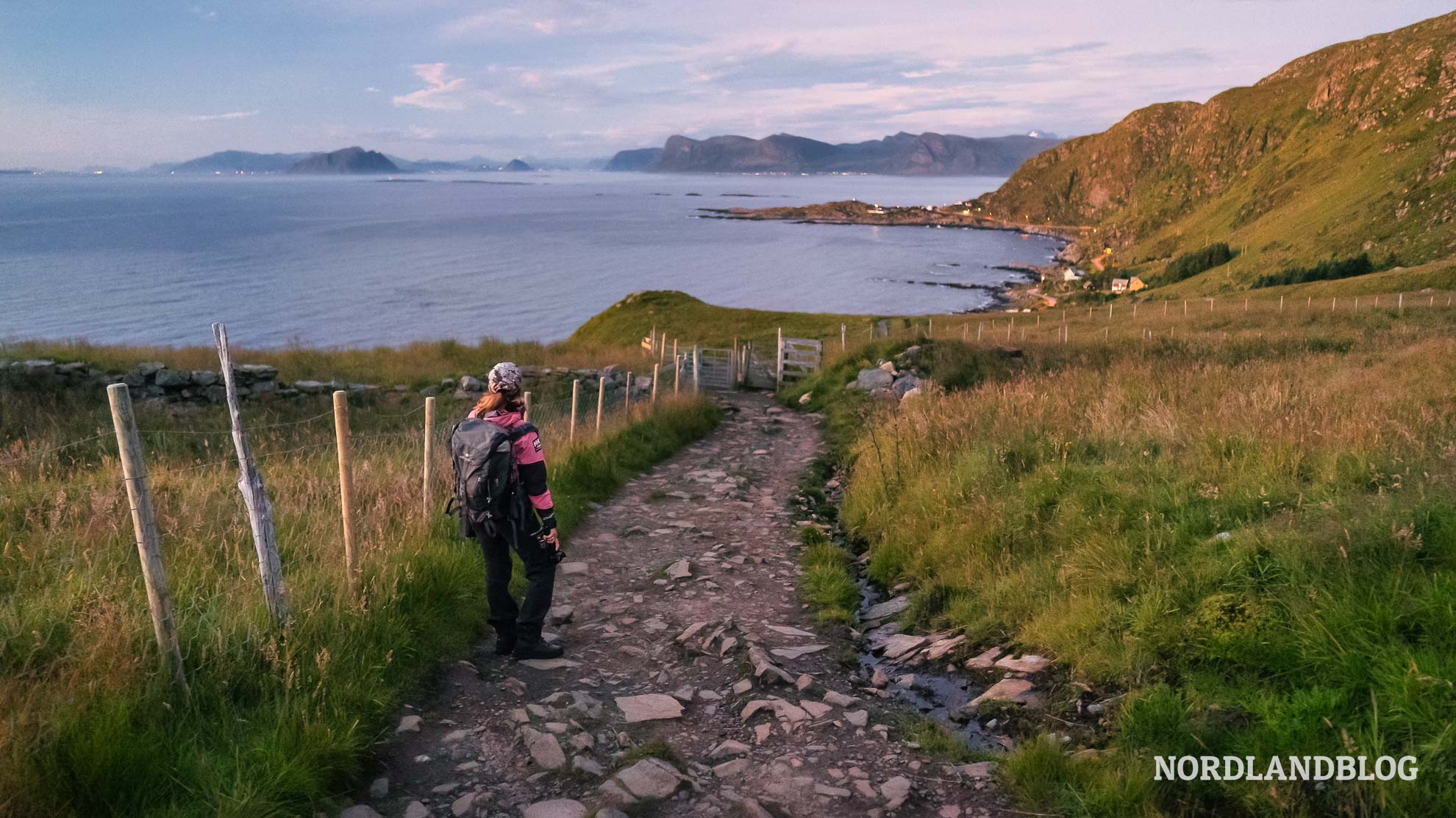 Papageitaucher Wanderweg Vogelfelsen Insel Runde Norwegen