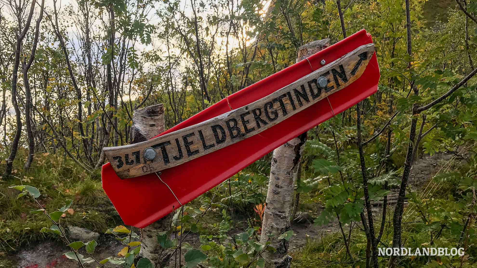 Wanderung Tjeldbergtinden Abzweig zum Gipfel