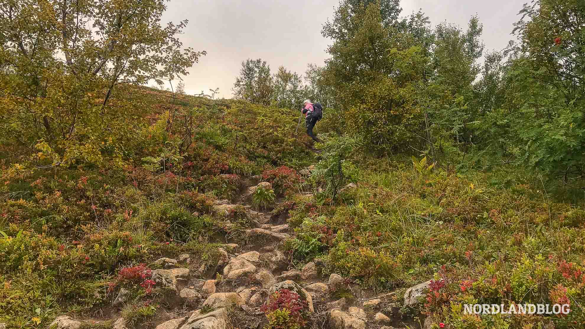 Wanderung Tjeldbergtinden Aufstieg Gipfel