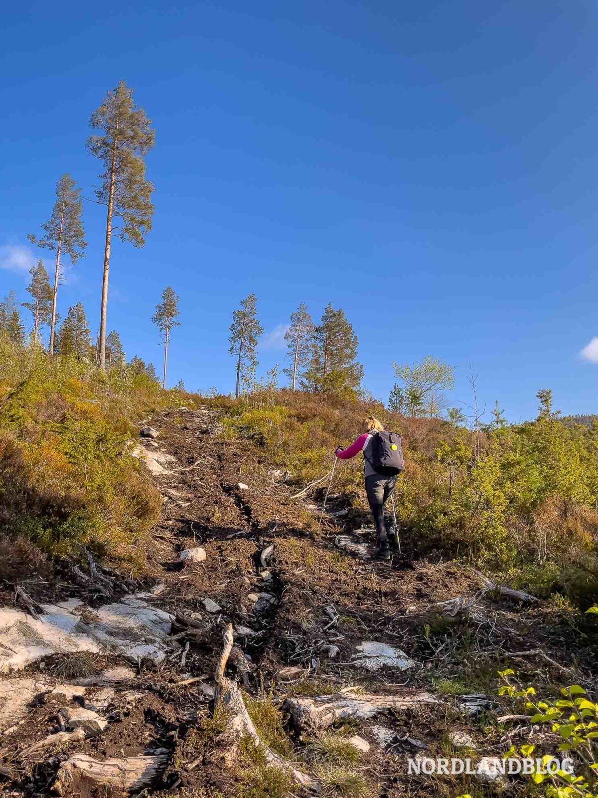 Der erste steile Abschnitt- Wanderung Ørnenapen im Setesdalen (Norwegen)