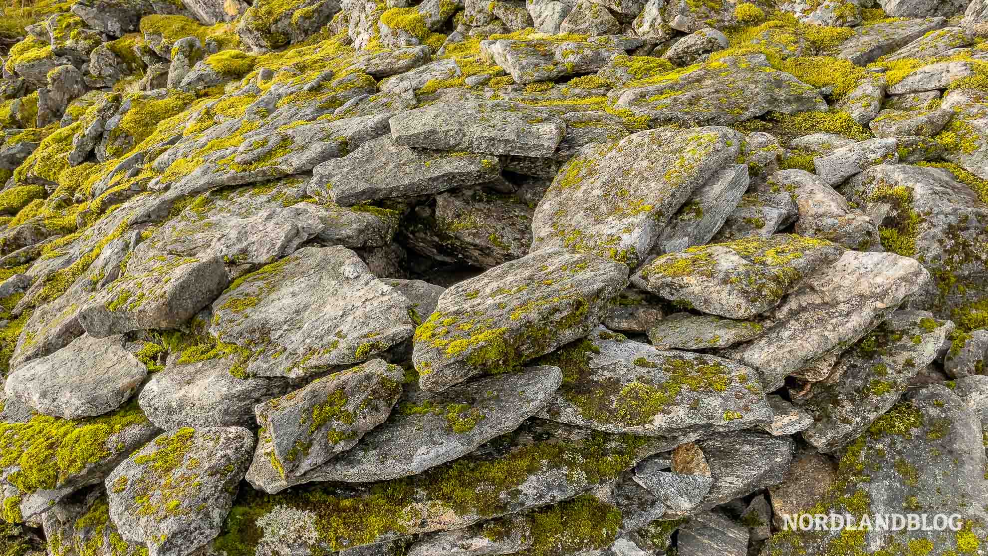 Insel Værøy (Lofoten) Adlerfanghaus