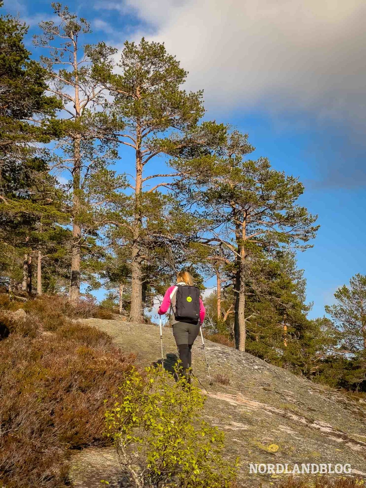 Kurz vorm Ziel der Wanderung Ørnenapen im Setesdalen (Norwegen)