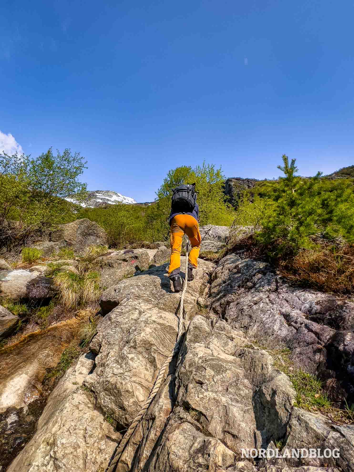 Sirko am Seil - Buarbreen Wanderung (Norwegen)