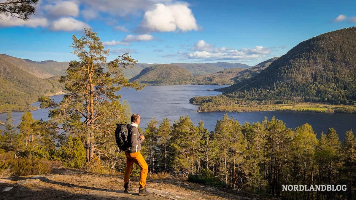 Sirko blickt in die Ferne- Wanderung Ørnenapen im Setesdalen (Norwegen)