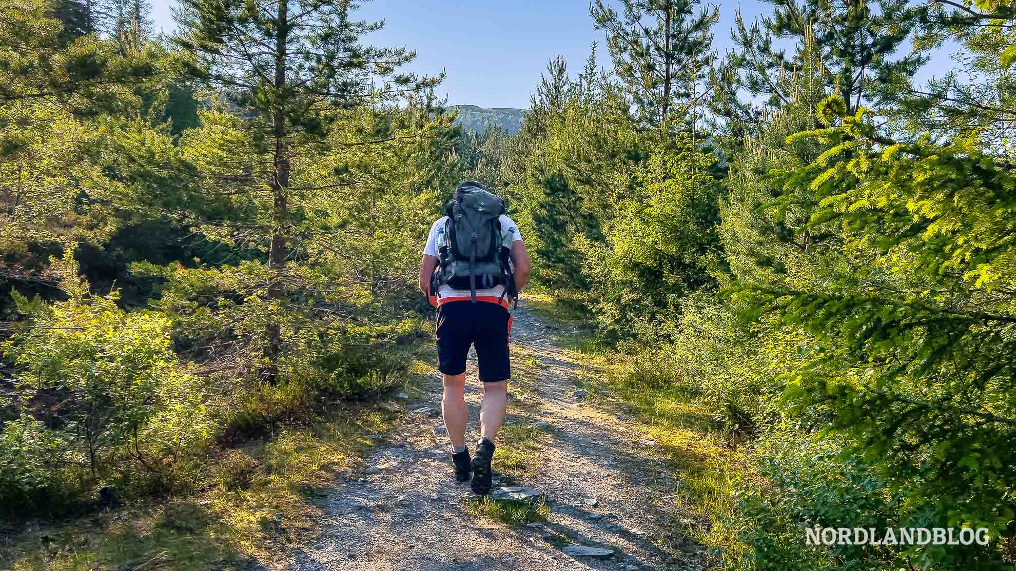Auf dem Weg zum Galten - Felszunge über den Dalsfjord (Sunnmøre)