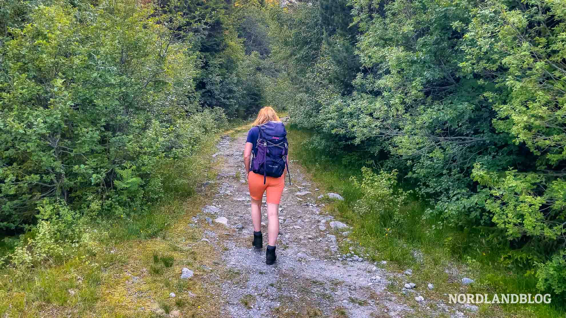 Unterwegs zum Galten - Felszunge über den Dalsfjord (Sunnmøre)