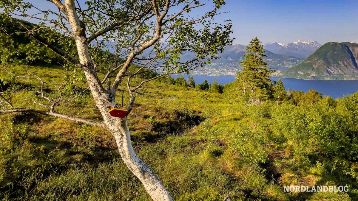 Wegmarkierung zum Galten - Felszunge über den Dalsfjord (Sunnmøre)