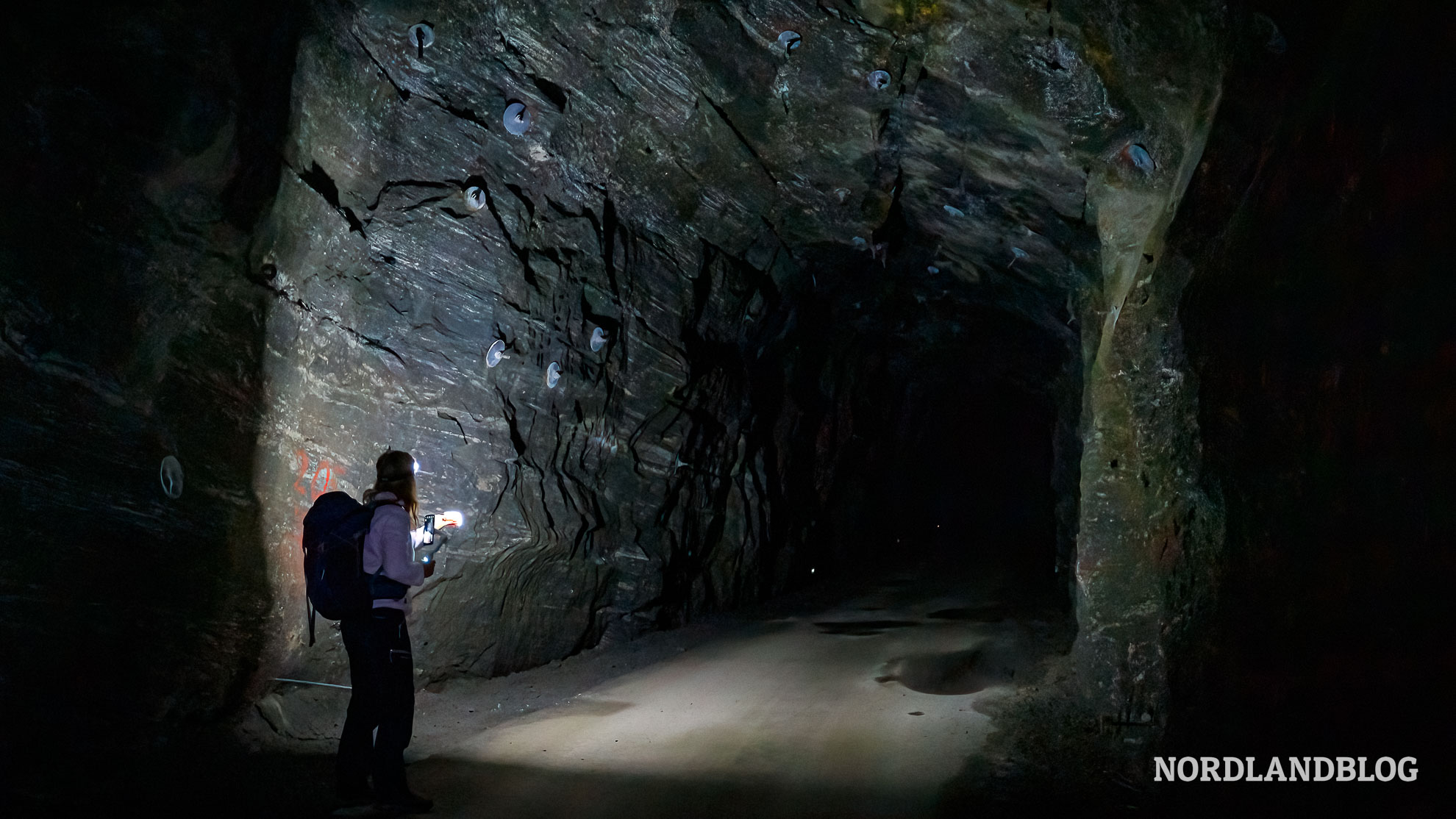 Tunnel auf Sanna Helgelandskysten Kystriksveien Fv17
