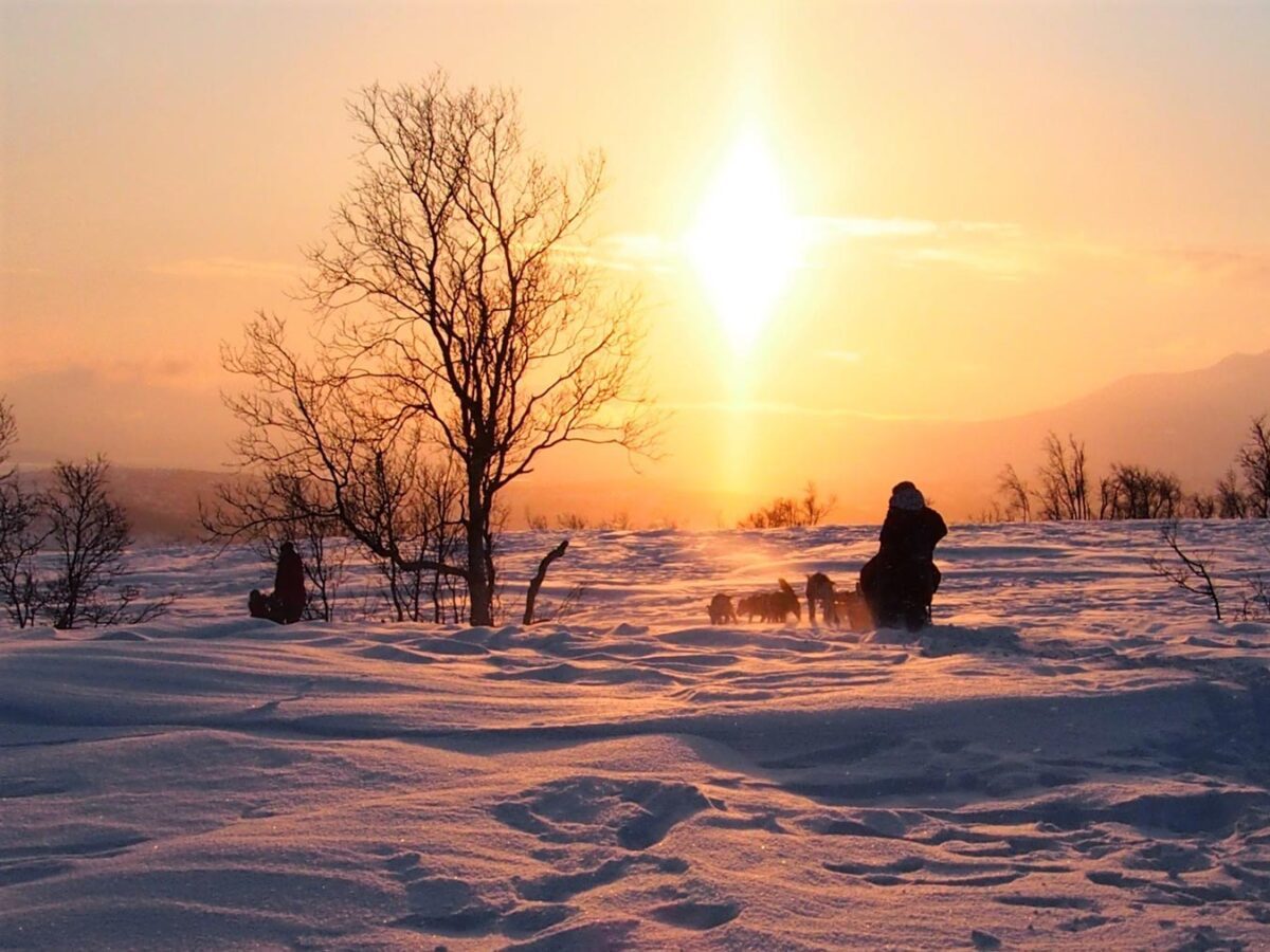 2019 Hundeschlittentour in der Nähe von Kilpisjärvi