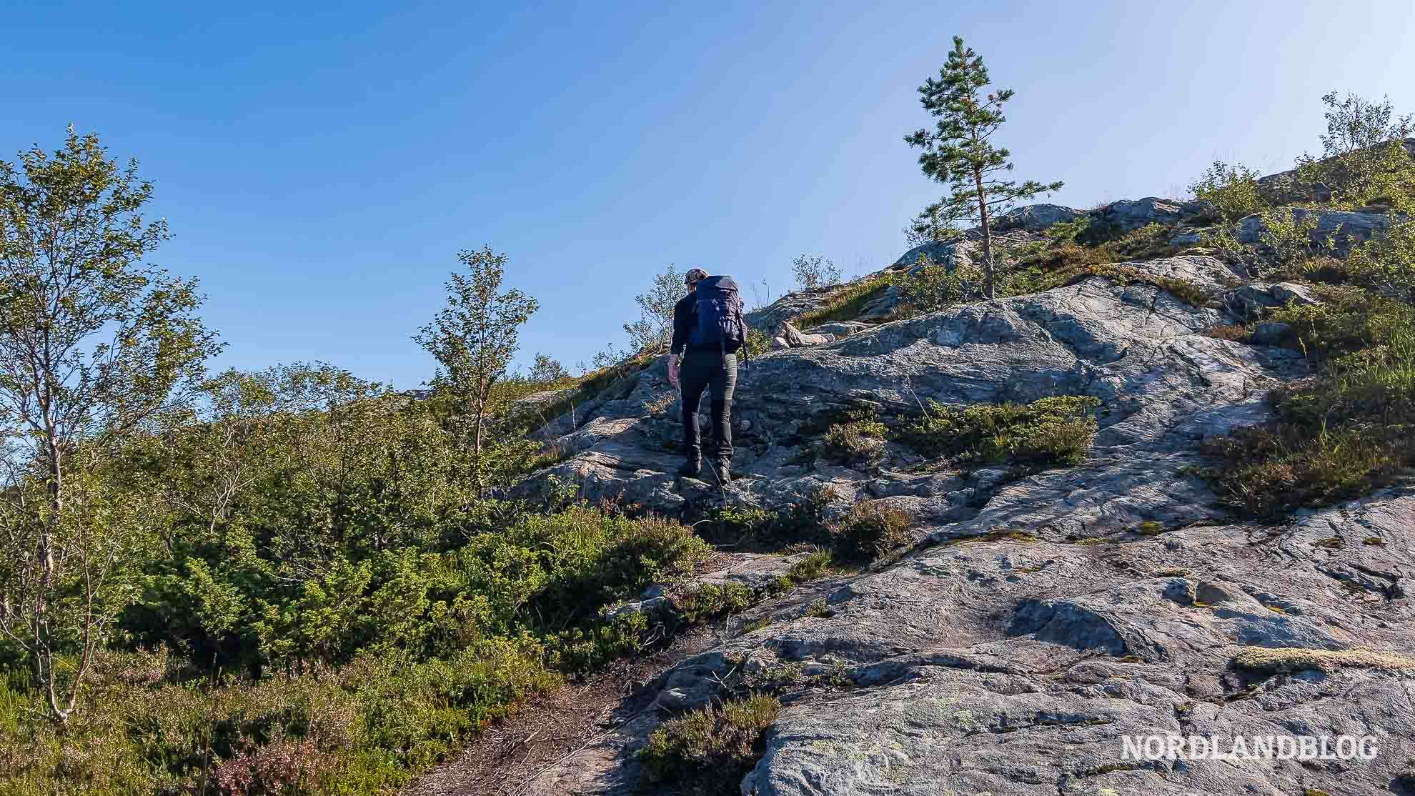Aufstieg Brensla Wanderung Nepsteinen Helgeland Norwegen