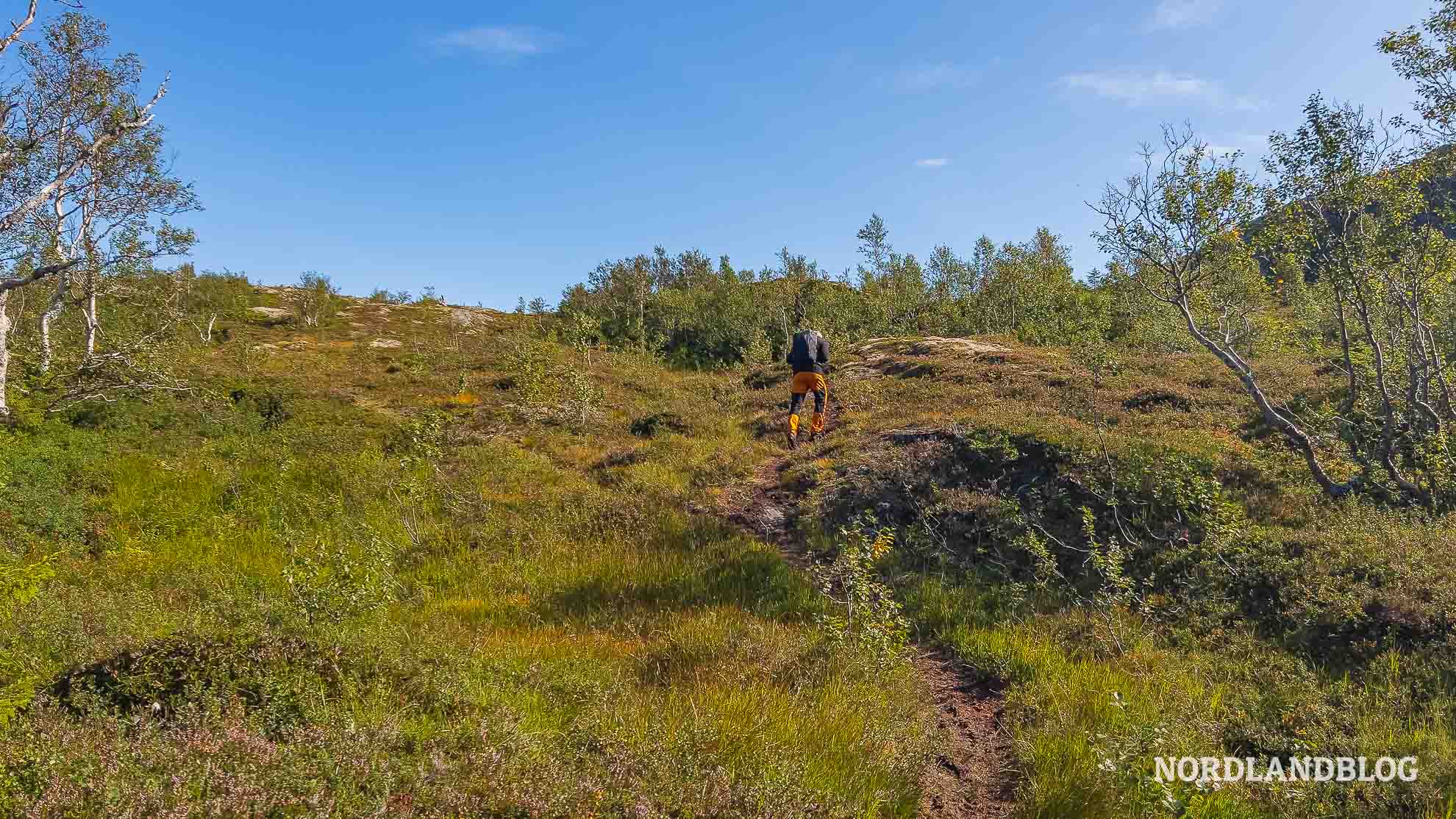 Letzter Anstieg Wanderung Nepsteinen Helgeland Norwegen