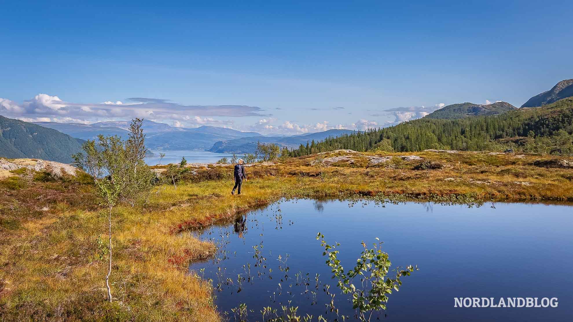 Weg Hochebene Wanderung Nepsteinen Helgeland Norwegen