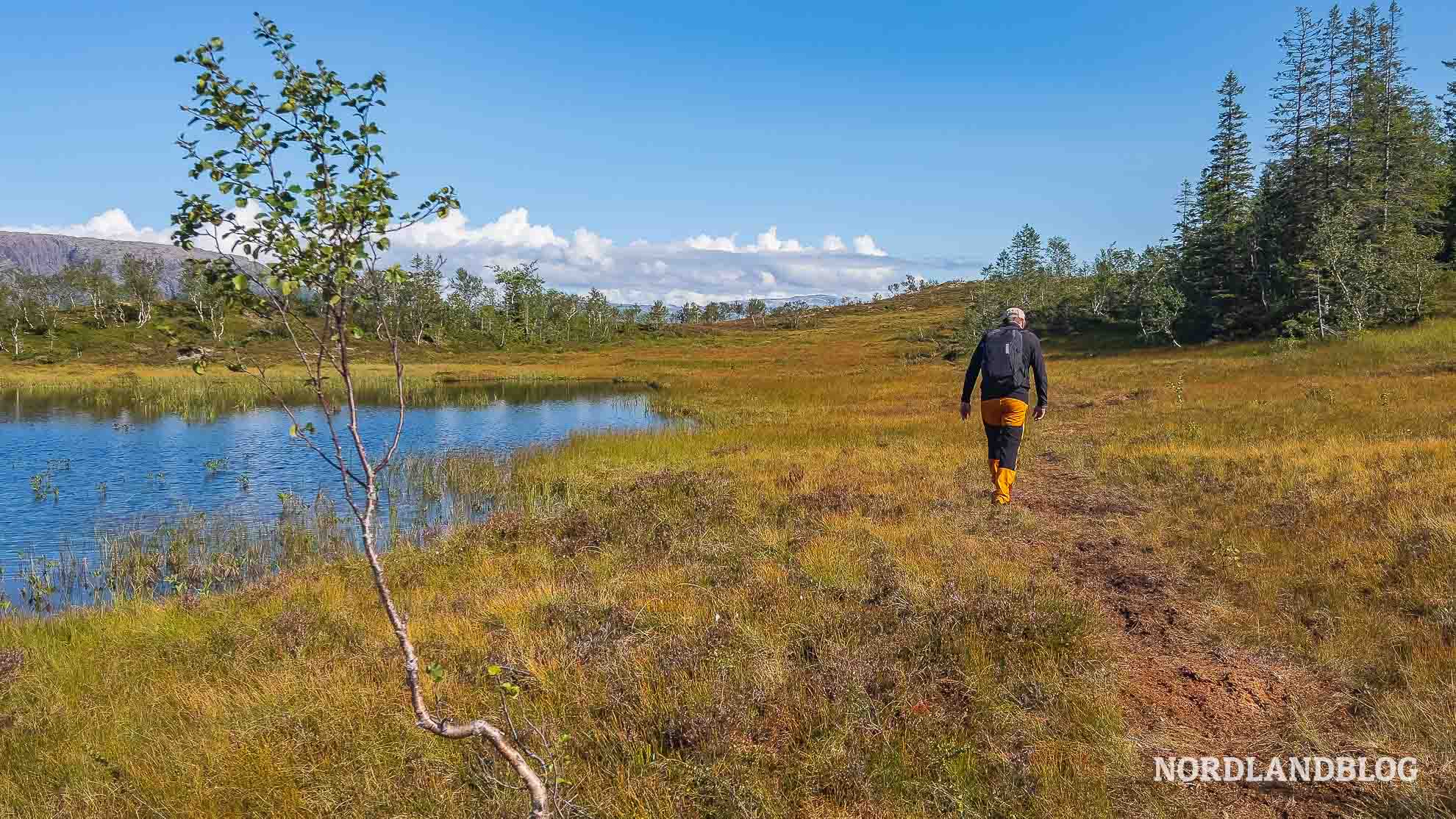 Wegstrecke Moor Hochebene Wanderung Nepsteinen Helgeland Norwegen