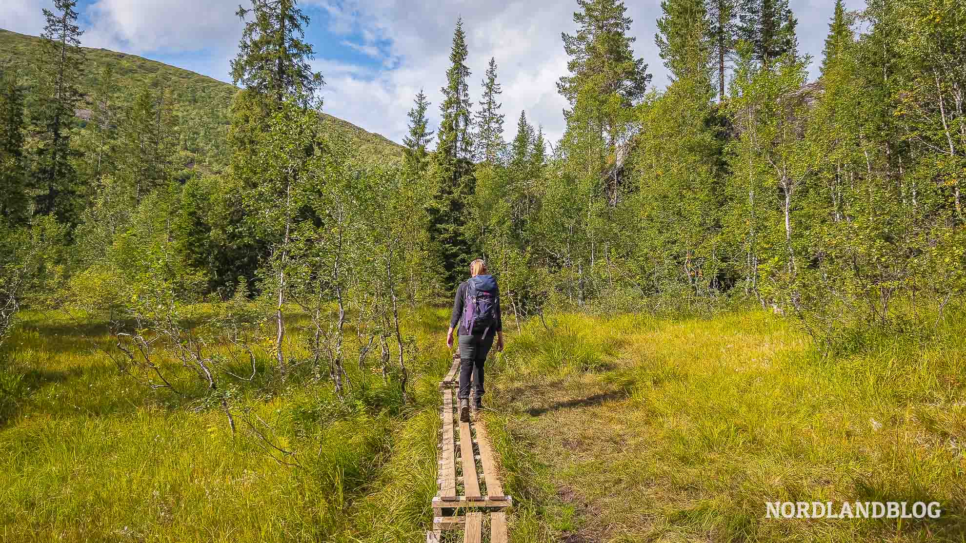 Holzstege Wanderung Glomåga Helgeland Norwegen