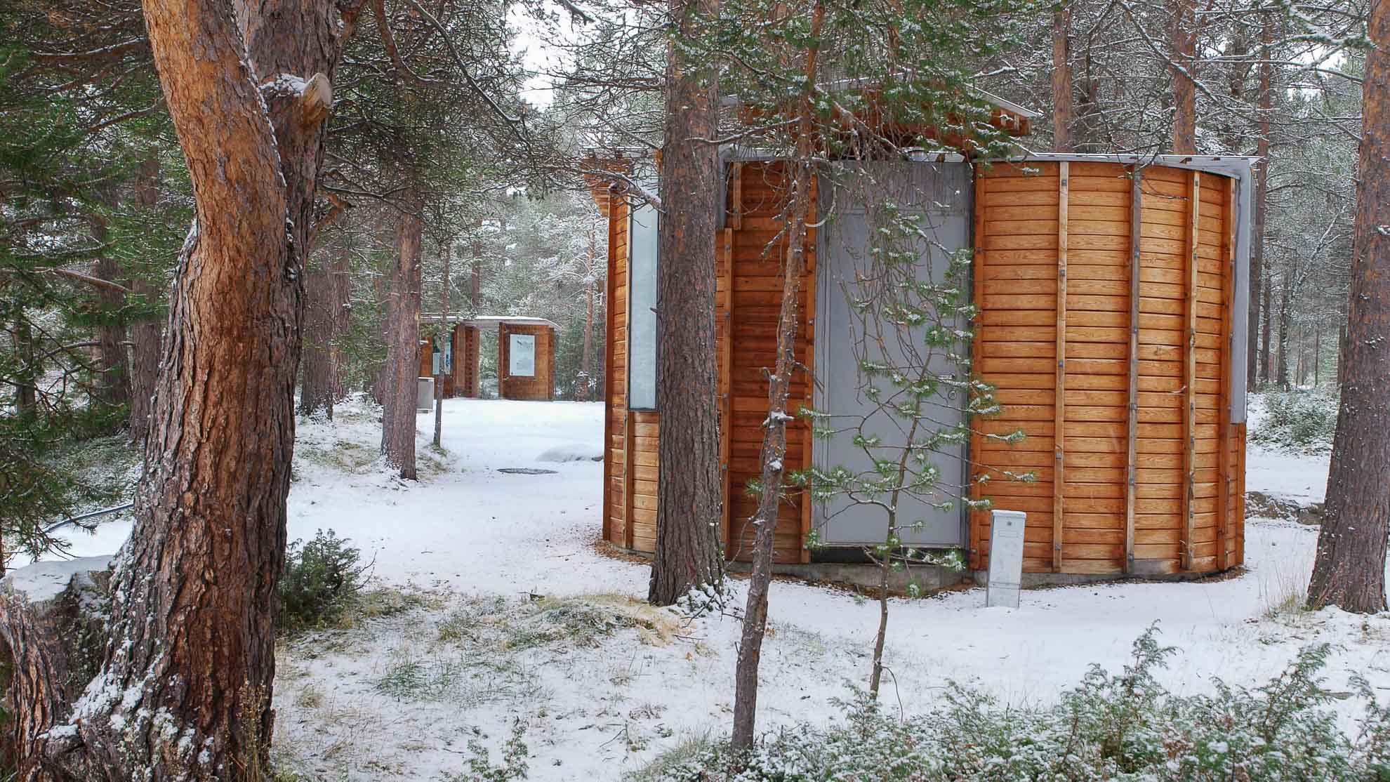 Liasanden, Sognefjellet © Foto Werner Harstad