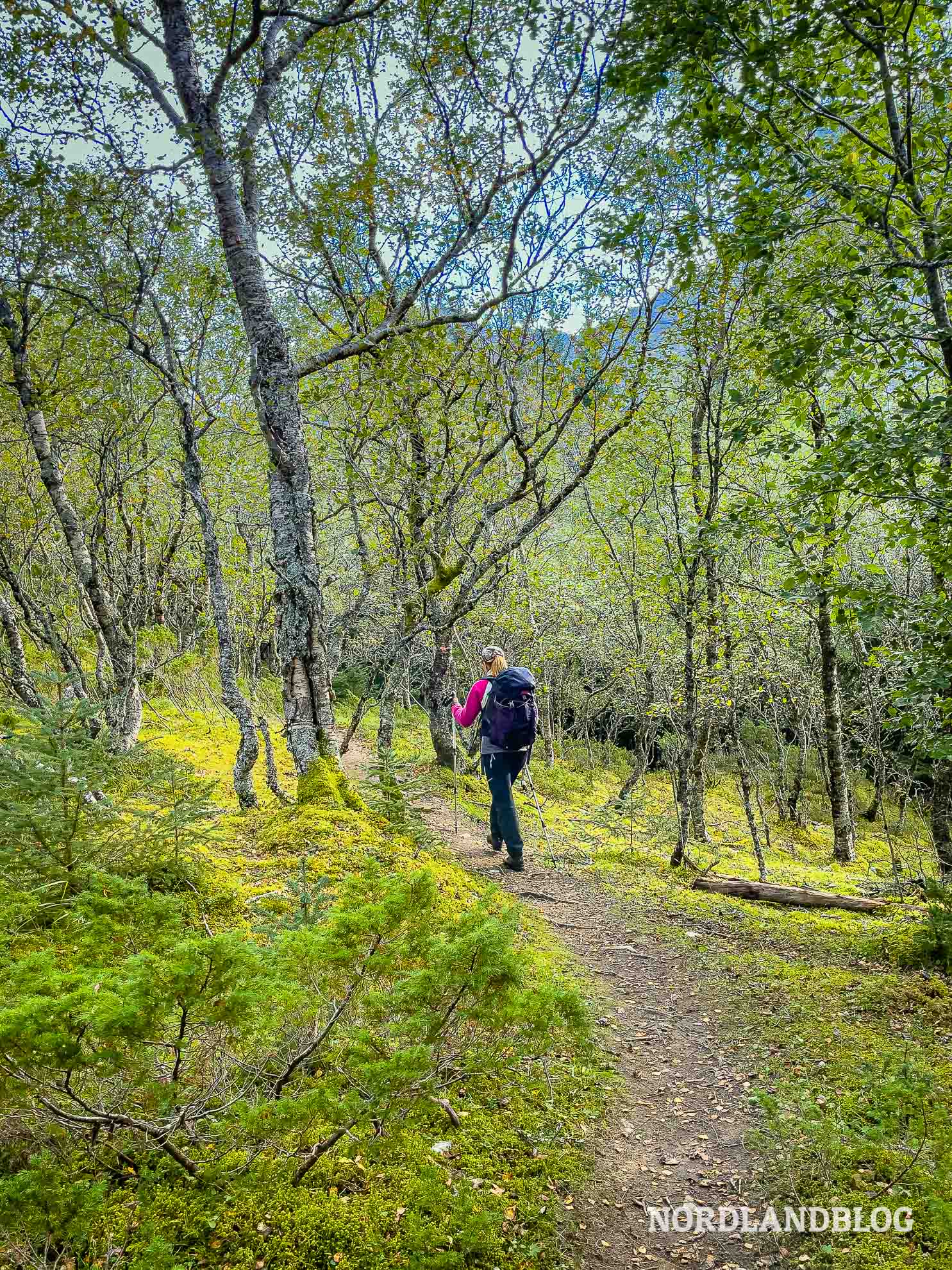 Beginn der Wanderung auf den Skjæringen, Helgelandskysten