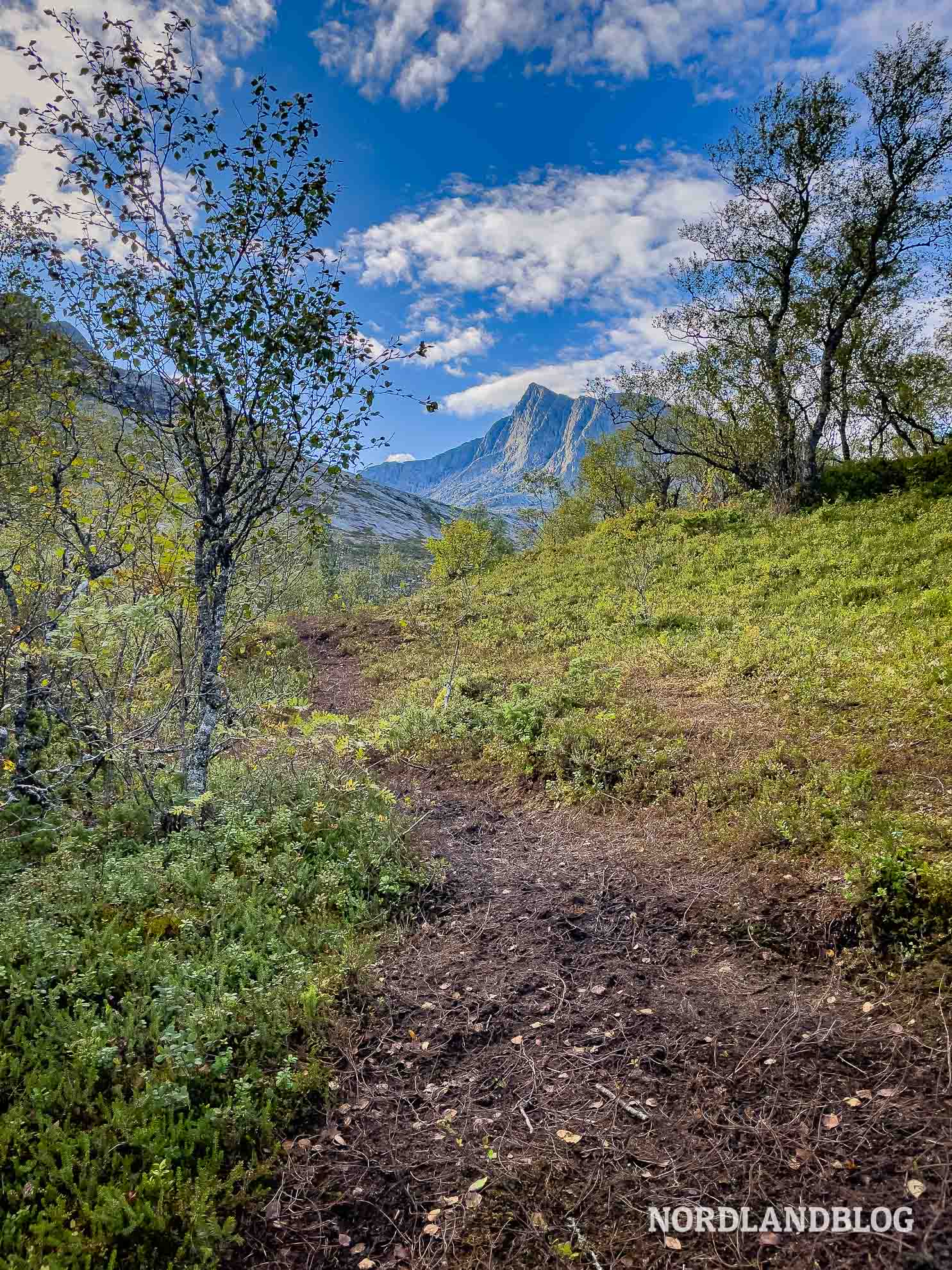 Zu Beginn der Wanderung auf den Skjæringen, Helgelandskysten