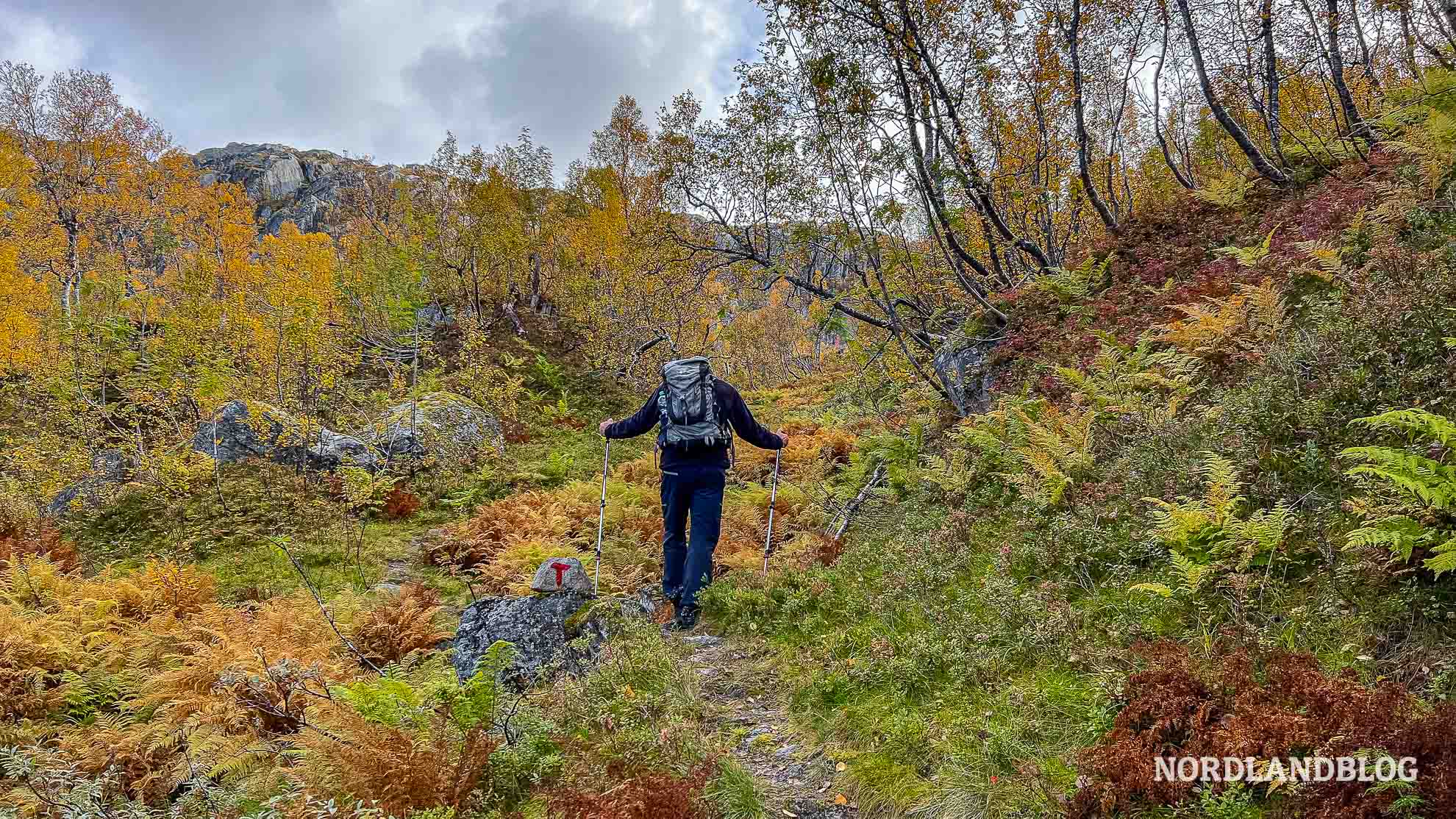 Herbstwanderung Seiskallafjellet Helgeland