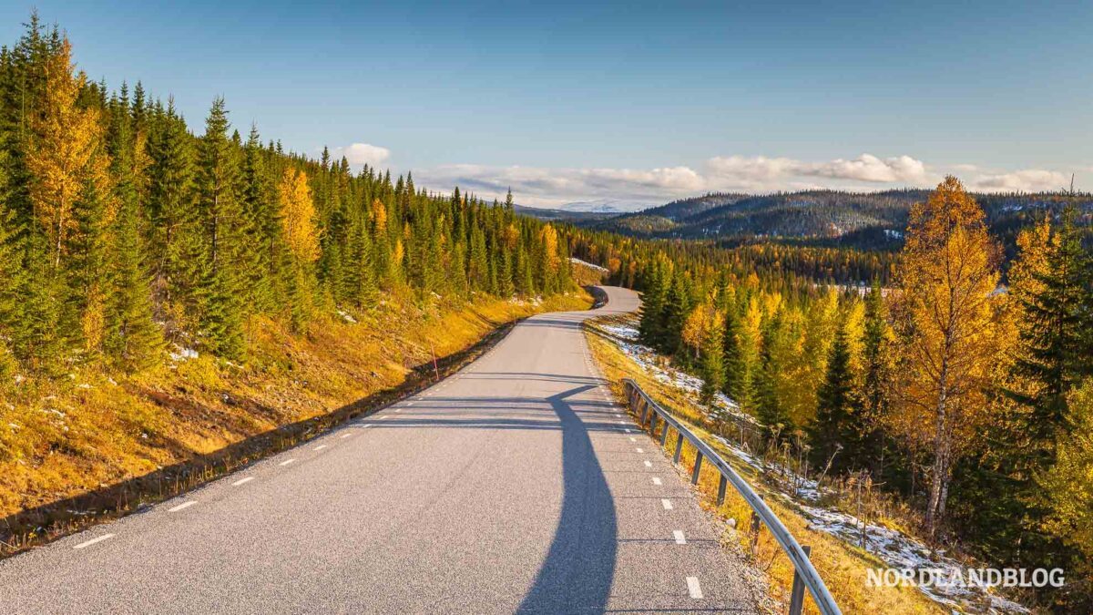 Viveca Sten Schweden Polarkreis Reihe Region Are