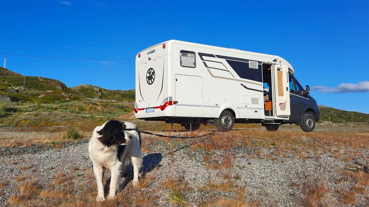 Einreise Hund Norwegen Uber Schweden