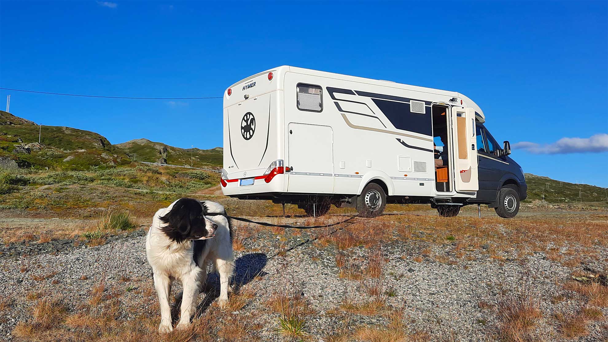 Mit-Hund-in-Norwegen-Hardangervidda-©-C.-Wiebe