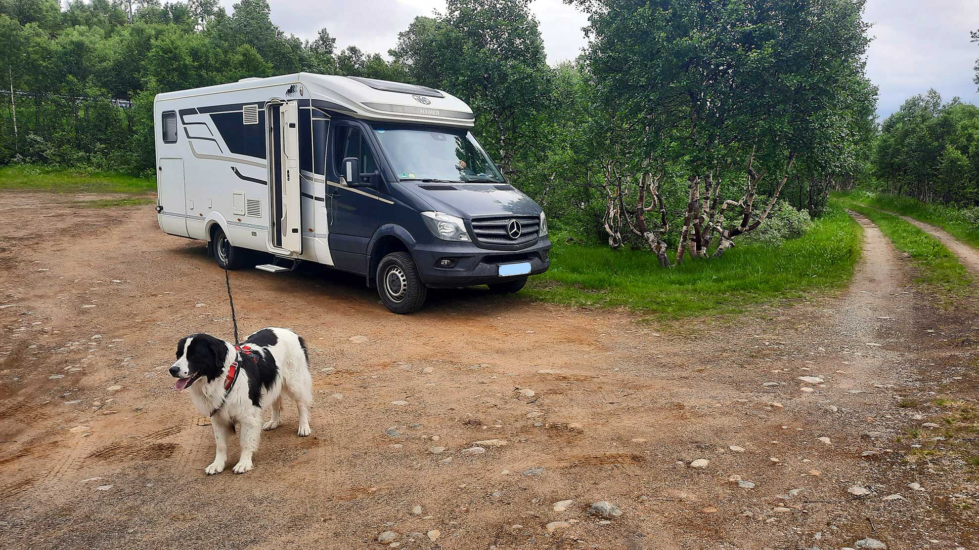 Mit-Hund-in-Norwegen-Mo-i-Rana-©-C.Wiebe