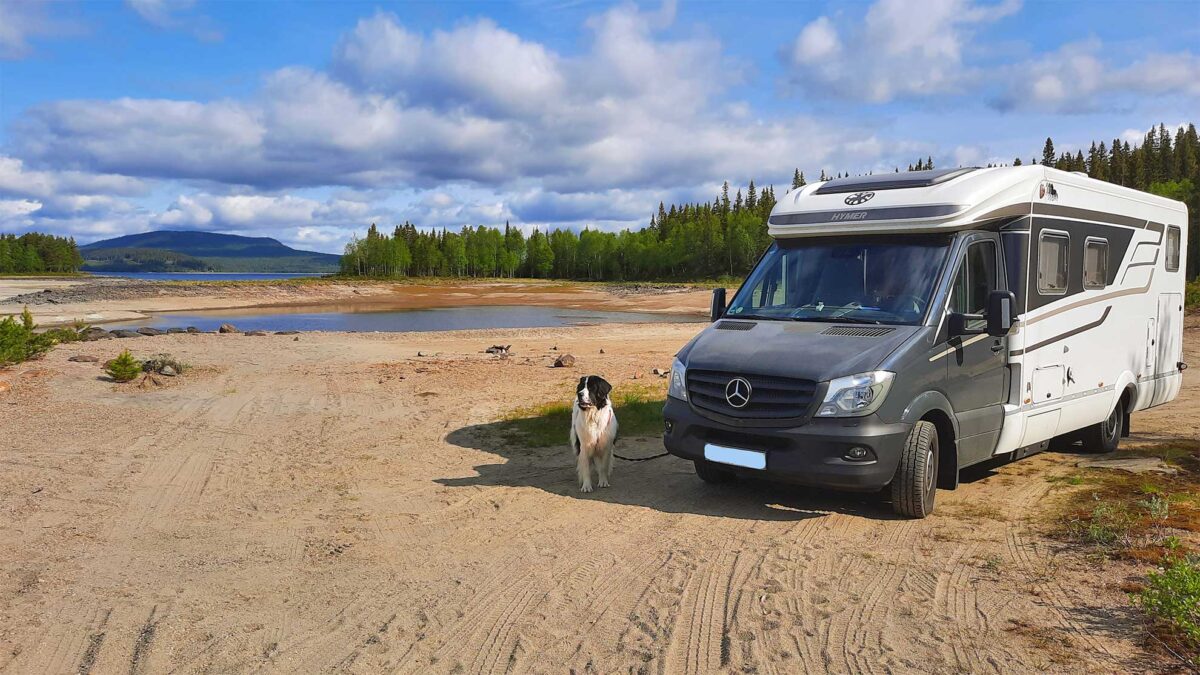 Titelbild-Einreisebestimmungen-Hunde-Danemark-Norwegen