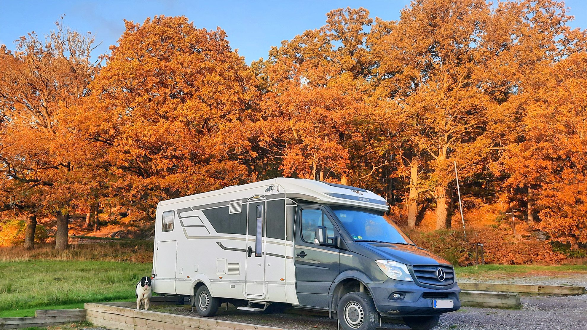 Mit-Vierbeiner-nach-Skandinavien