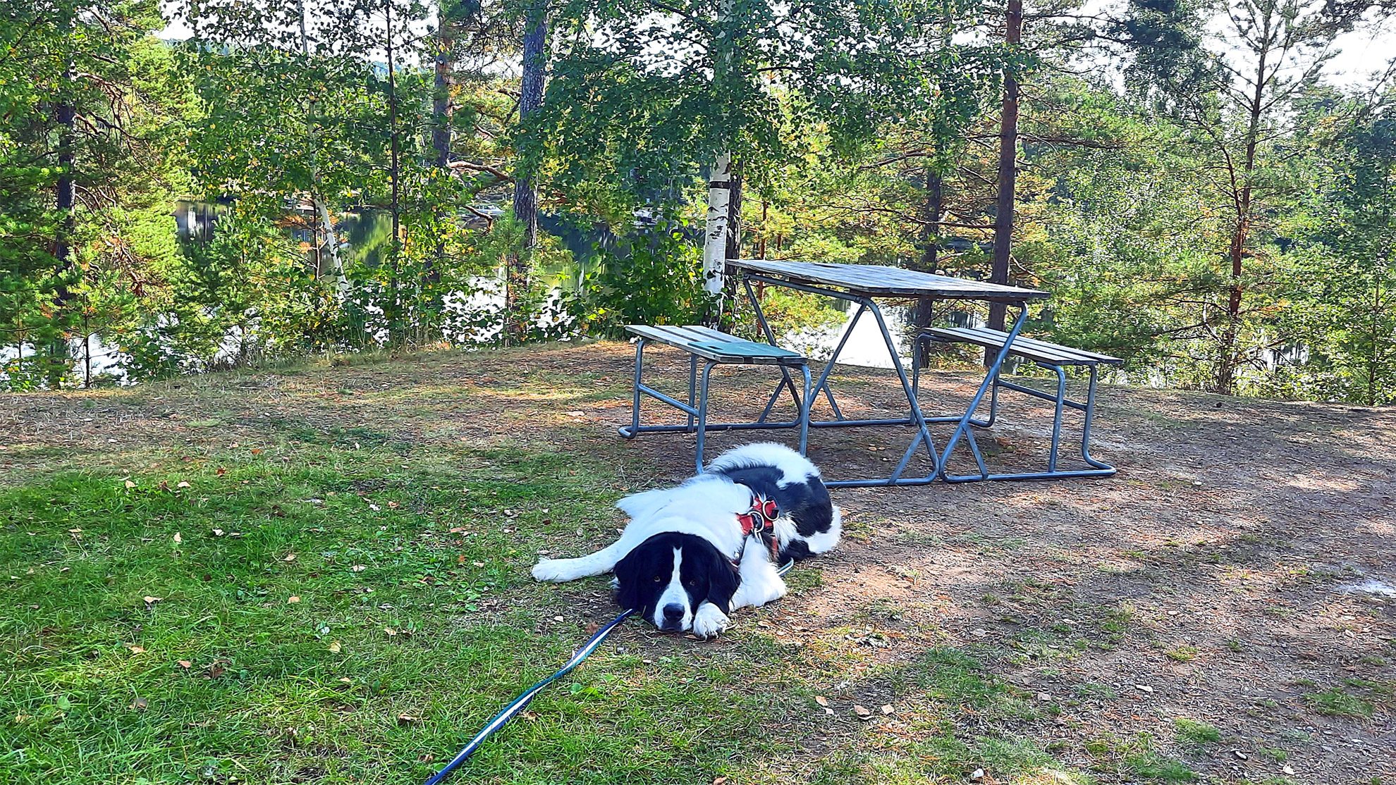 Picknickplatz-in-Skandinavien