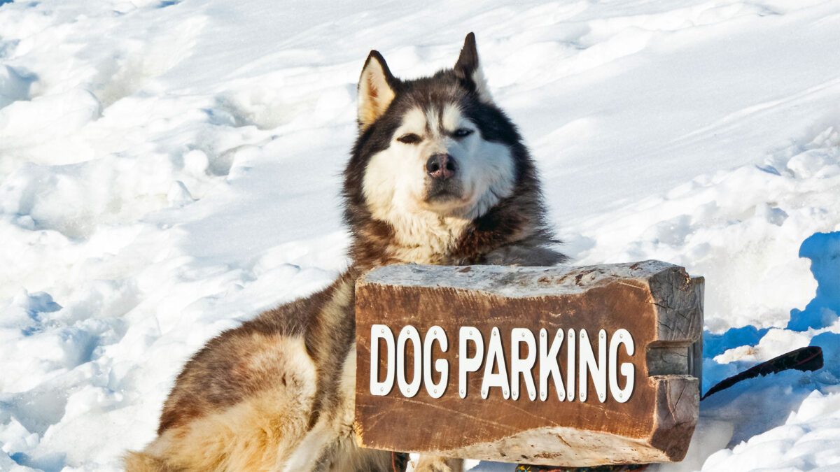 Håkon-Daae-Brensholm-Visit-Svalbard