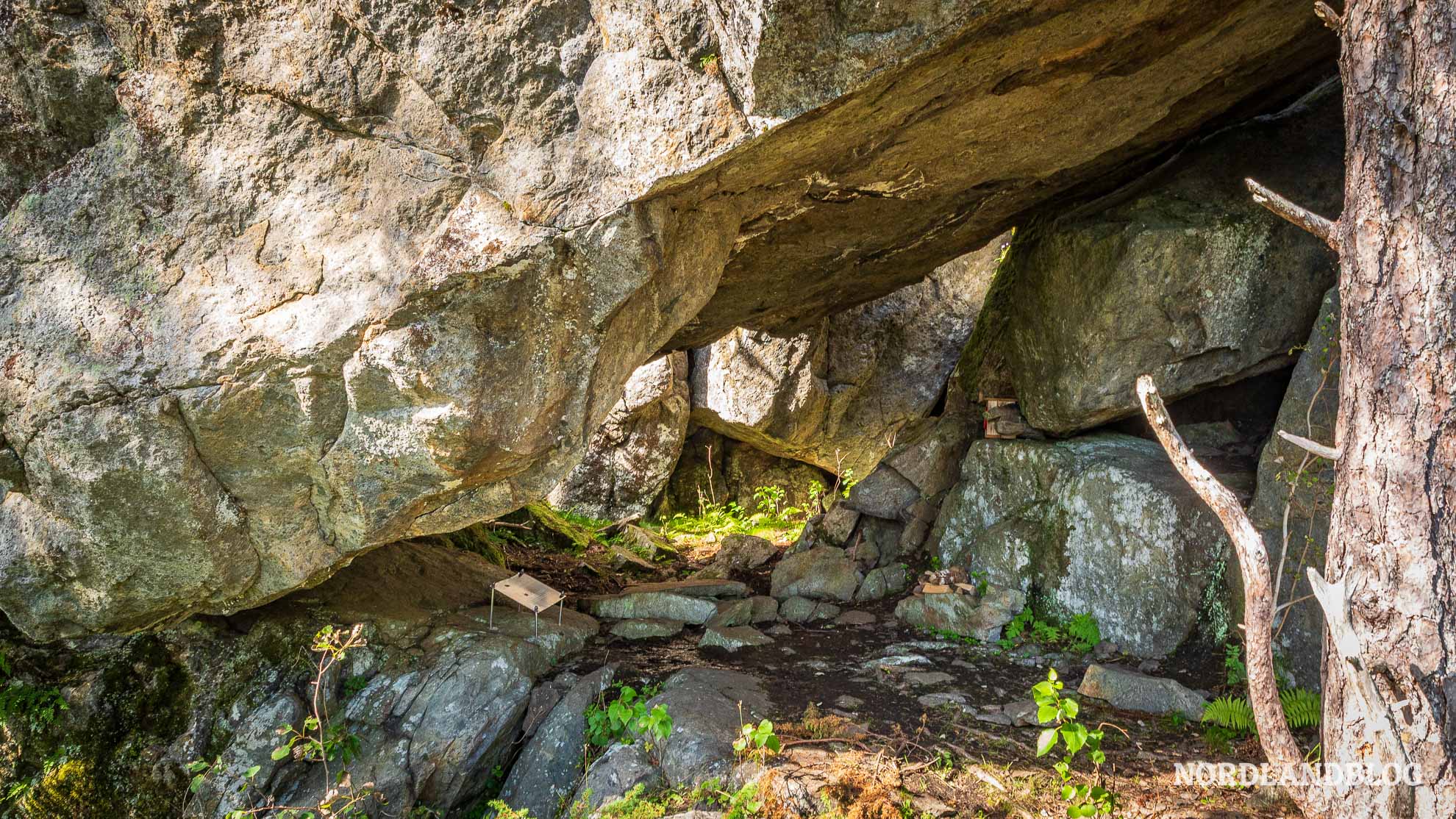 Insel Vega Lefsn Anna Wanderung