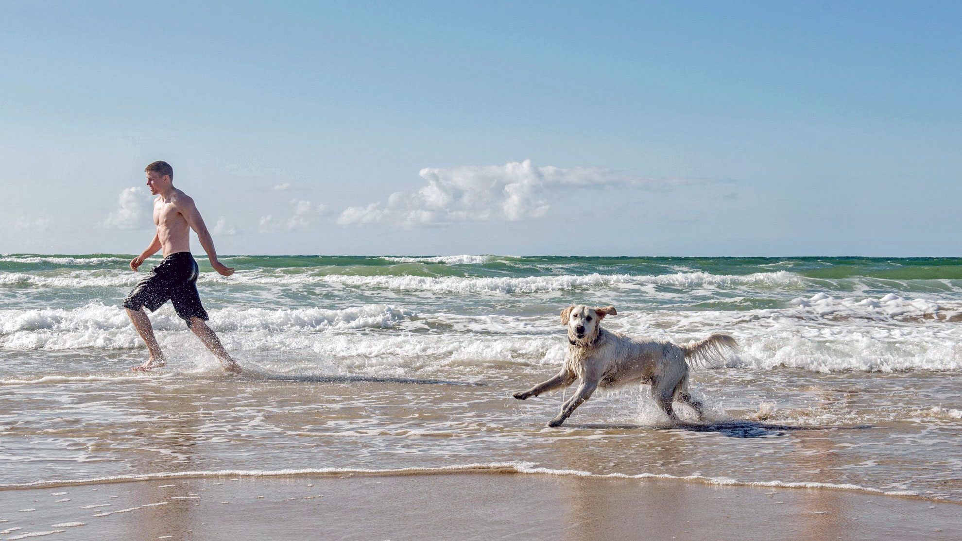 Løkken__beach_dog-custom-Badeplatz-mit-Hund
