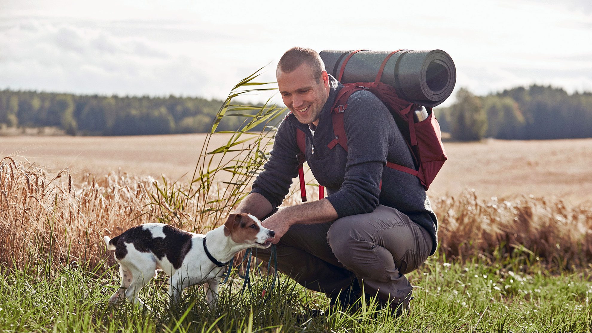 Mit Hund in Schweden: Lindsten & Nilsson/imagebank.sweden.se