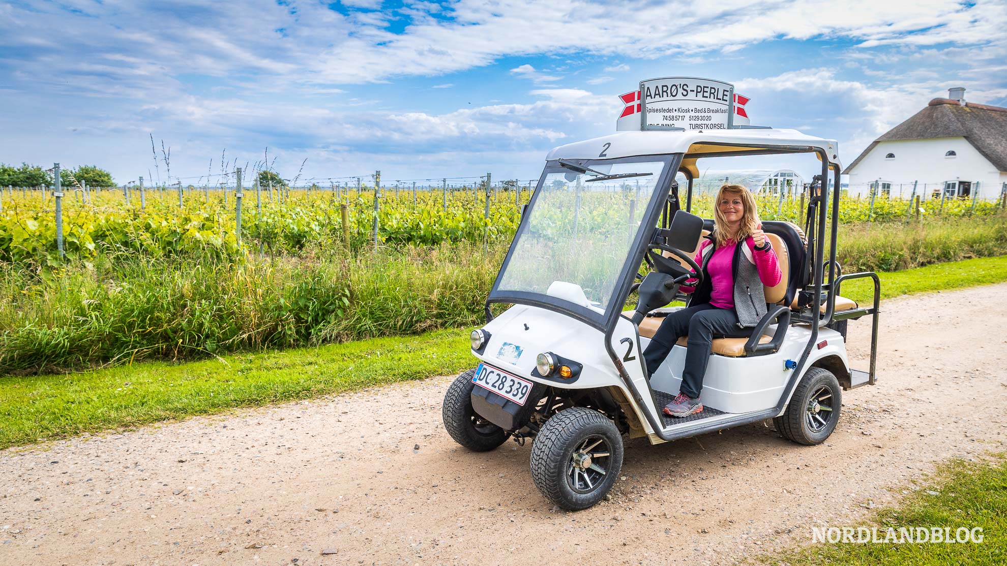 Golfcar Insel Aaro Daenemark