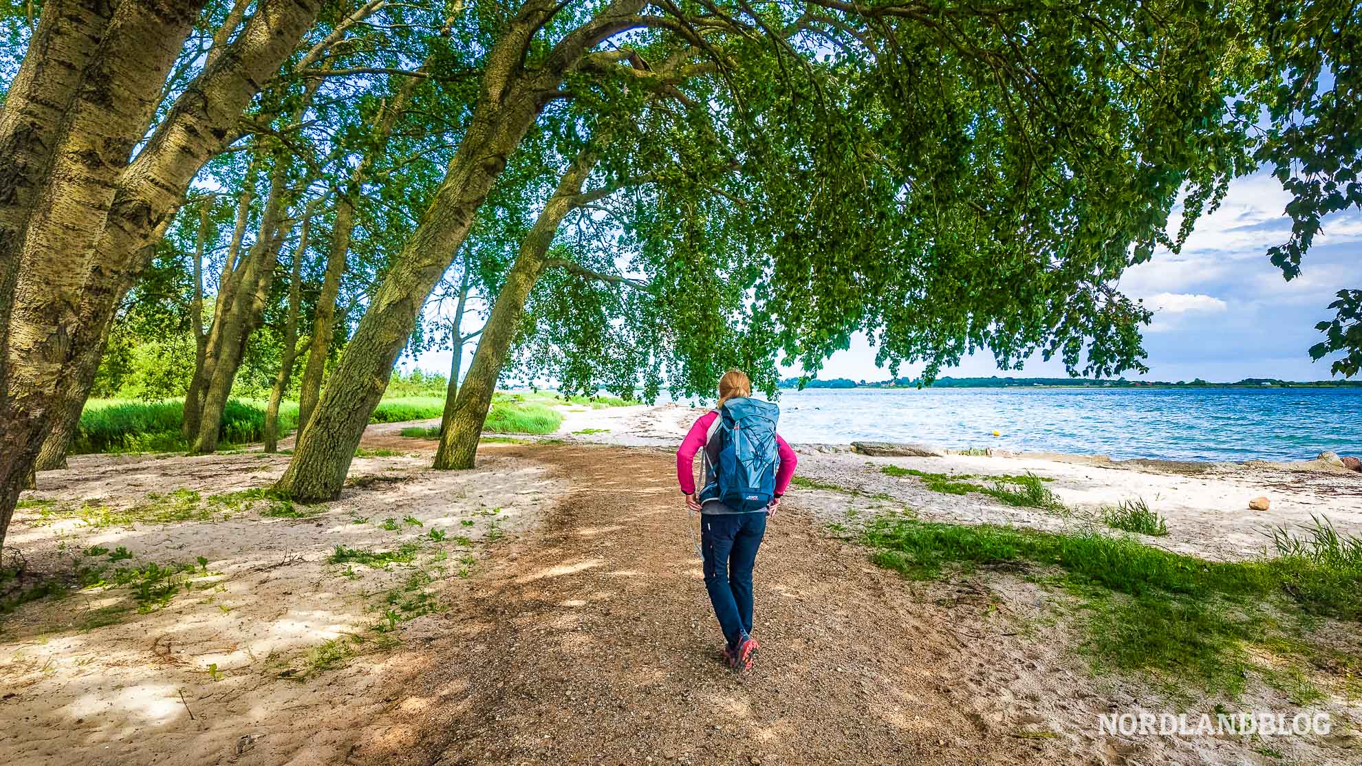 Wanderweg an der Kueste von Gammelbro Camping