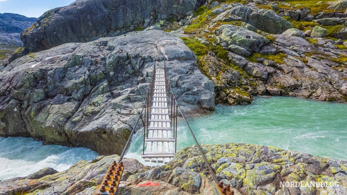 Bruecke-Svelgabreen-Wanderung-Gletscher