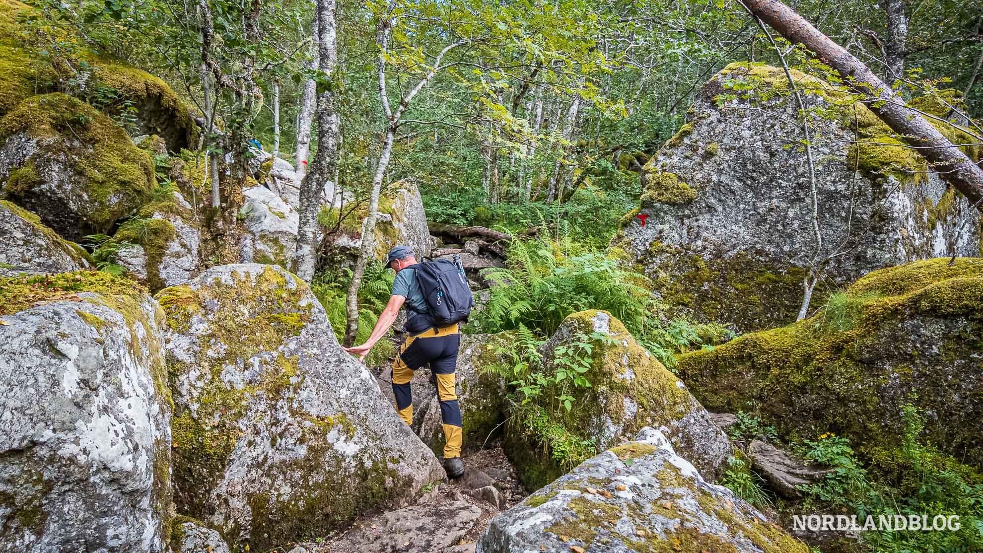 Tursti-Dritte-Etappe-Husedalen-Tal-der-Wasserfaelle-Wanderung-Hardangerfjord