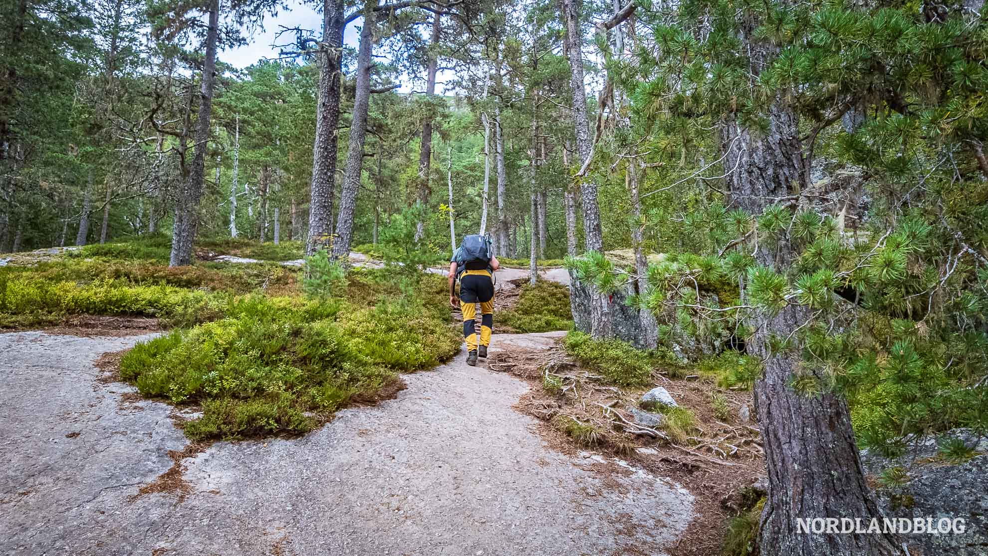 Husedalen Tal der Wasserfälle