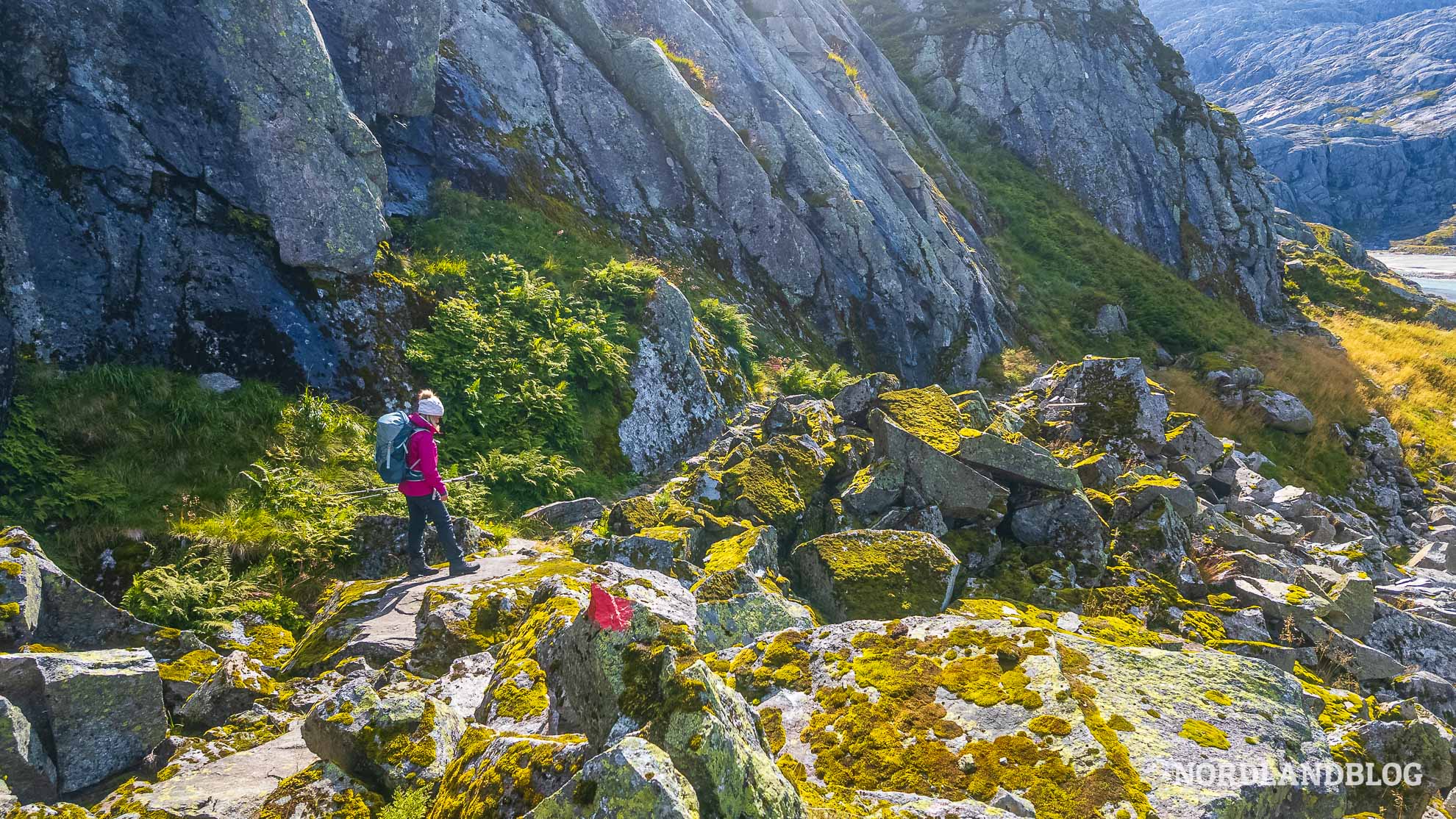 Wegbeschaffenheit-Svelgabreen-Wanderung-Gletscher