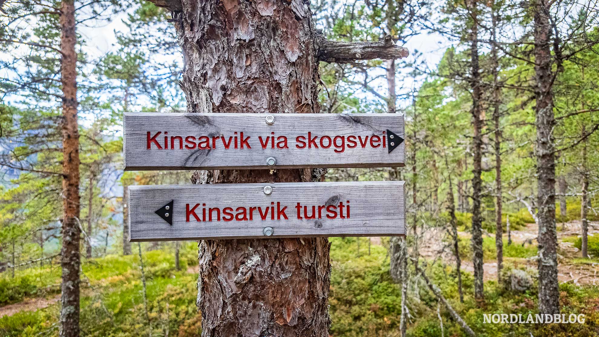 Weggabelung-Husedalen-Tal-der-Wasserfaelle-Wanderung-Hardangerfjord