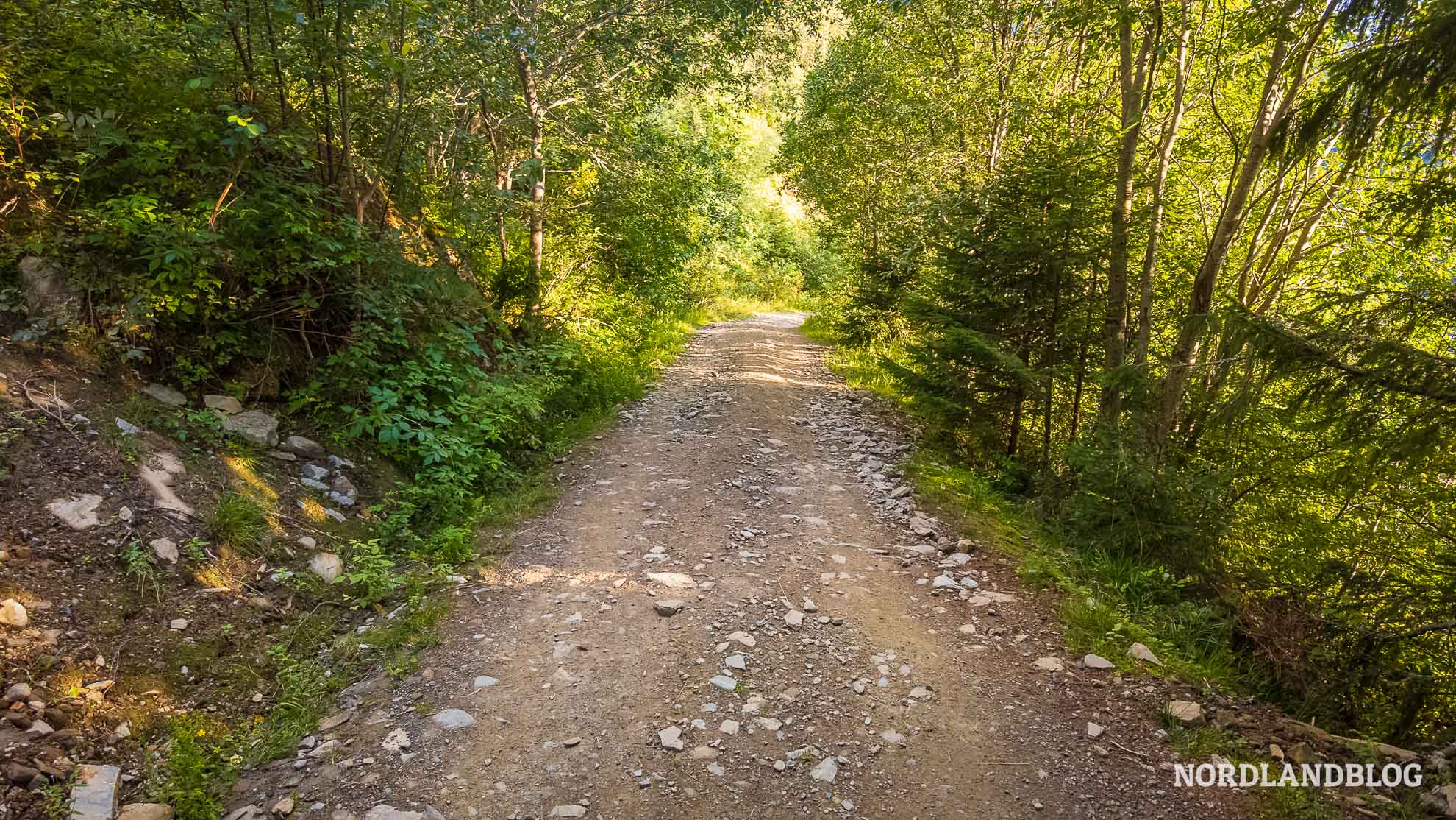 Abstieg-Panoramawanderung-Koeniginweg-Hardangerfjord