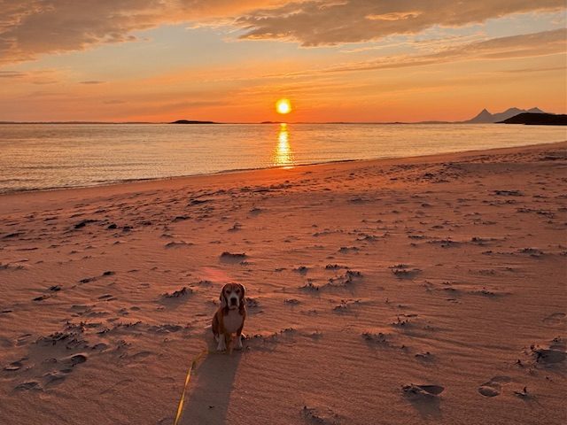 Am Strand mit Jay zum Sonnenuntergang