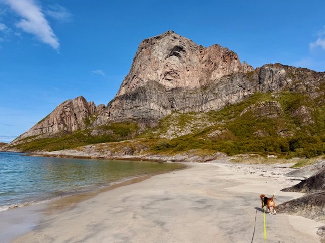 An Stränden tobt Jay besonders gerne