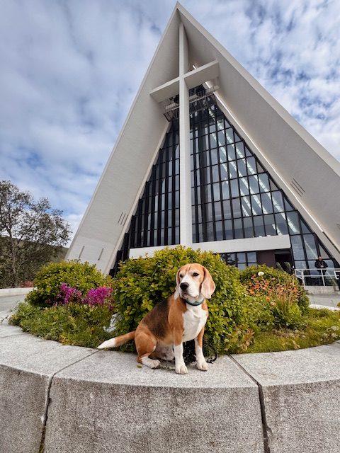 Angekommen in Tromso
