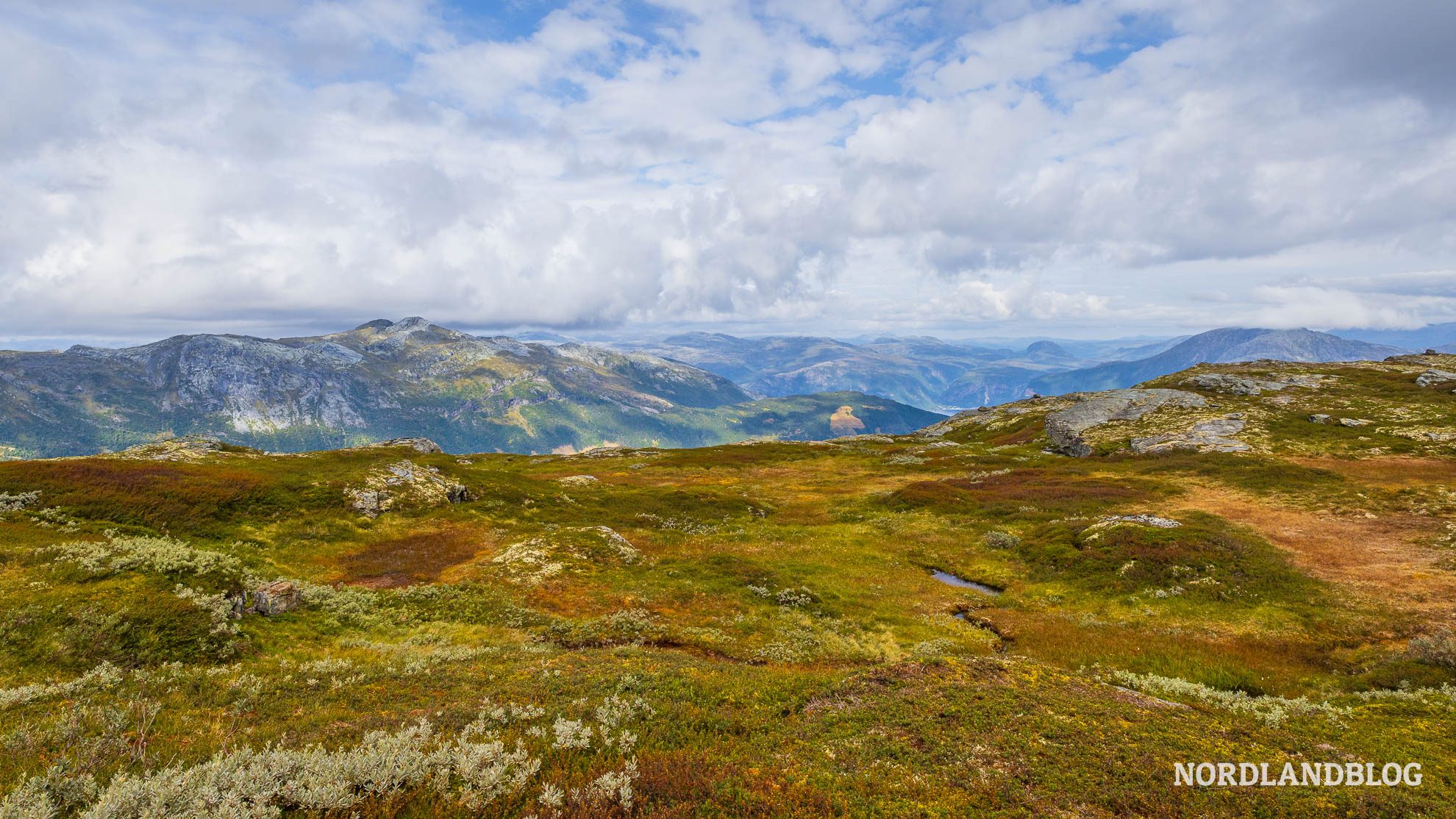 Blick Hardangervidda Wanderung Dronningstien Hardangerfjord