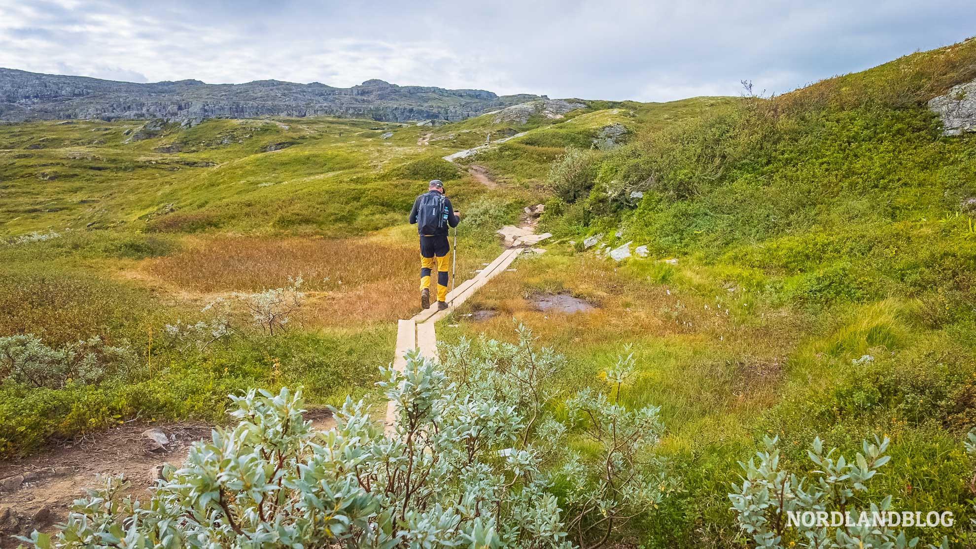 Bohlen-Wanderung-Dronningstien-Hardangerfjord
