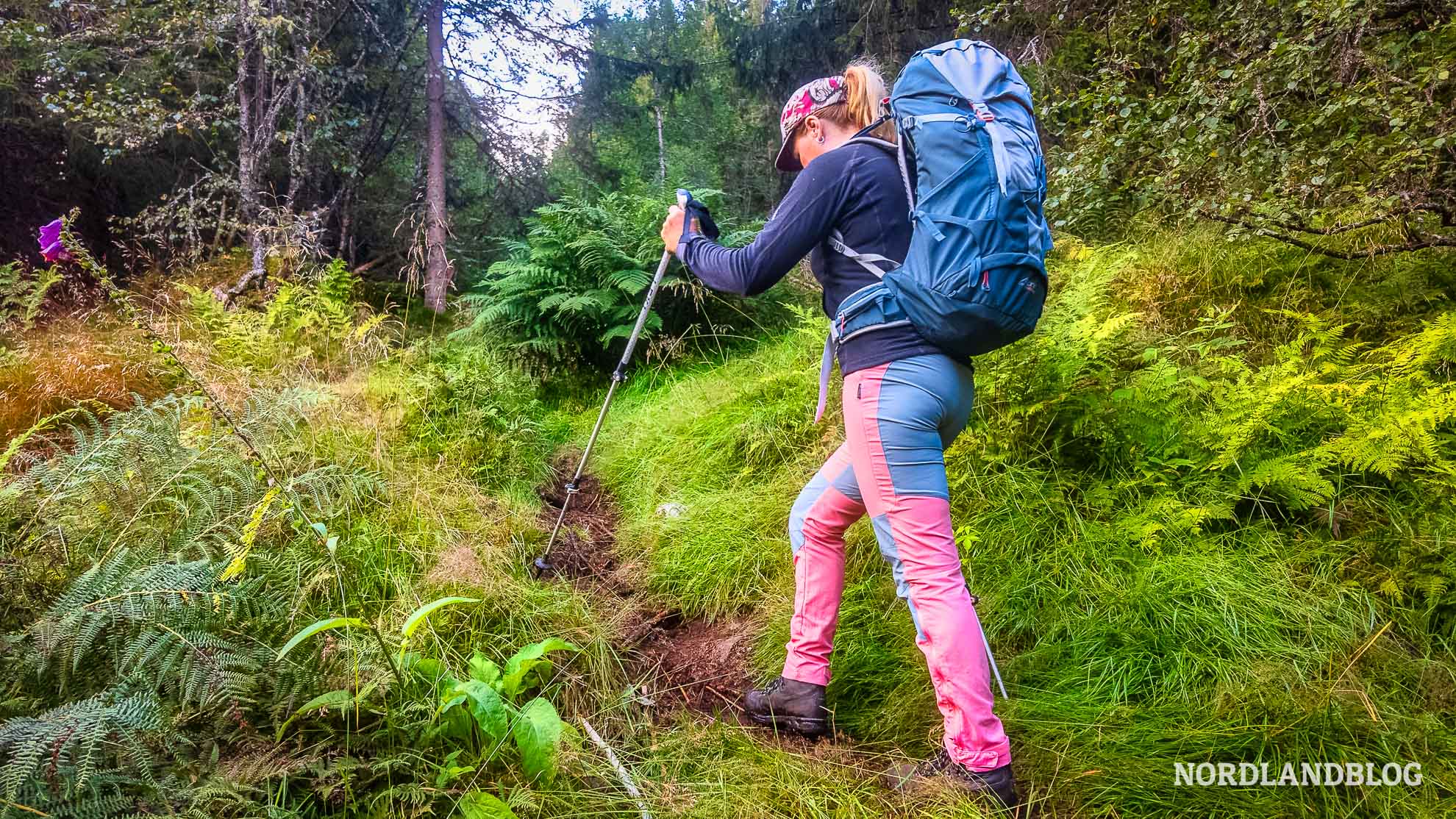 Conny-auf-der-Wanderung-entlang-des-Dronningstien