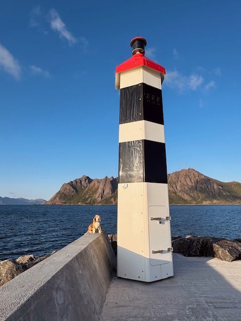 Jay neben dem einem Leuchtfeuer